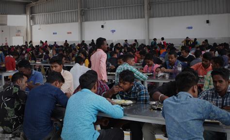 Life @ Wild Lotus | Wild Lotus