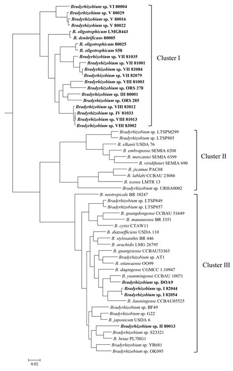 Nodulating Aeschynomene indica without Nod Factor Synthesis Genes: In ...