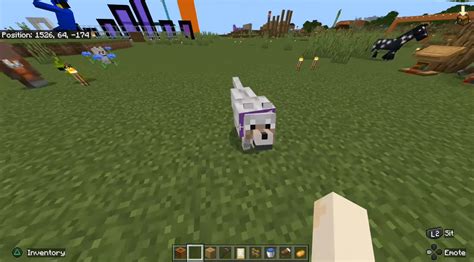 Image result for How to Turn Off Player Names in Minecraft Java