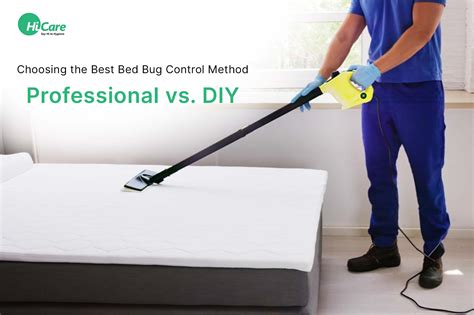Professional vs. DIY: What is the Best Bed Bug Control Method?