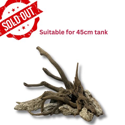 Ready-to-Use Driftwood Aquascape Setup – For 45 cm Aquarium (Additiona ...