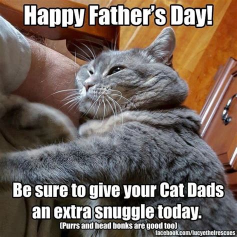 15 Funny Animals That Wanted To Wish Dad's Everywhere a Happy Father's ...