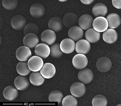 Image result for Microfludics Cell Encapsulation