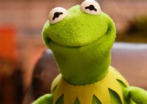 Kermit The Frog Waiting