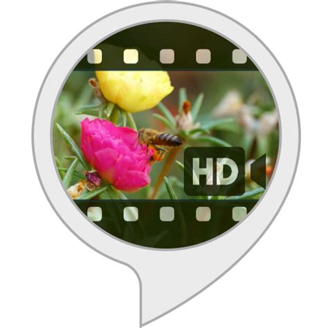 Amazon.in: Ambient Visions: Springtime : Alexa Skills