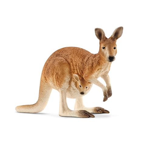 Schleich Kangaroo, Multi Color : Schleich: Amazon.in: Toys & Games