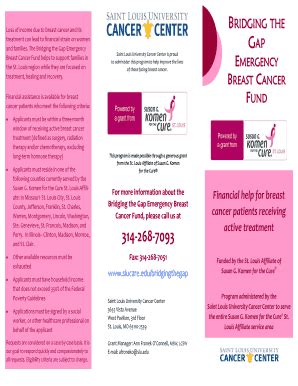 Fillable Online slu New Bridging the Gap Flyer 8-22-12.pub - Saint ...