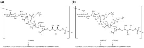 Identification and Quantification of a Pneumococcal Cell Wall ...