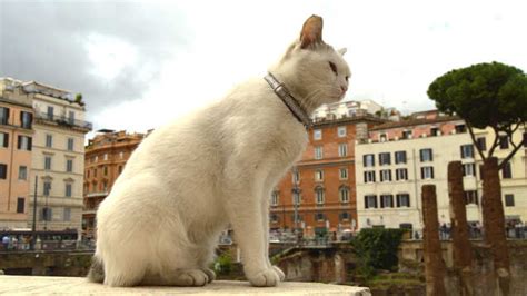 Julius Caesar’s assassination site in Rome to open for tourists, Rome ...