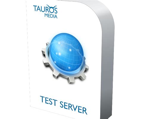 Image result for Run Test Server