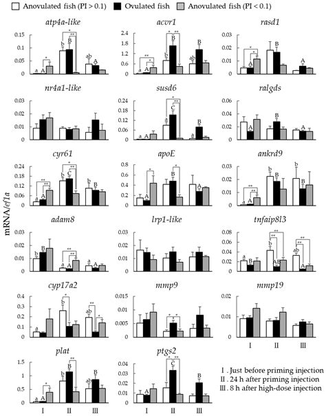 Changes in Ovulation-Related Gene Expression during Induced Ovulation ...
