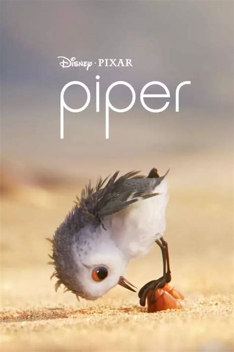 奥斯卡最佳动画短片《鹬 Piper》，值得家长一看！