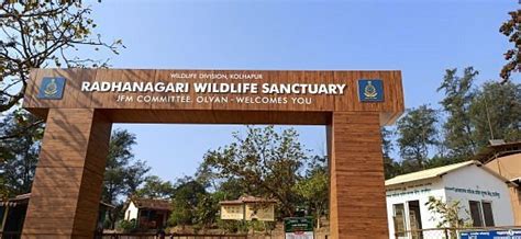 DAJIPUR WILDLIFE SANCTUARY - All You Need to Know BEFORE You Go 2026 ...