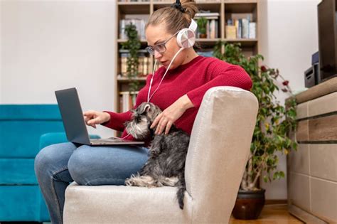 Tutorial Win Vet 的图像结果