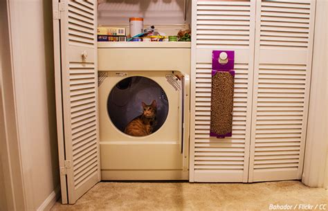 Moving Washing Machine 的图像结果