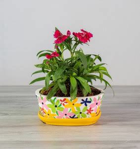 Happy Garden Oval flora Plant Stand Planter Home, Office, Indoor ...