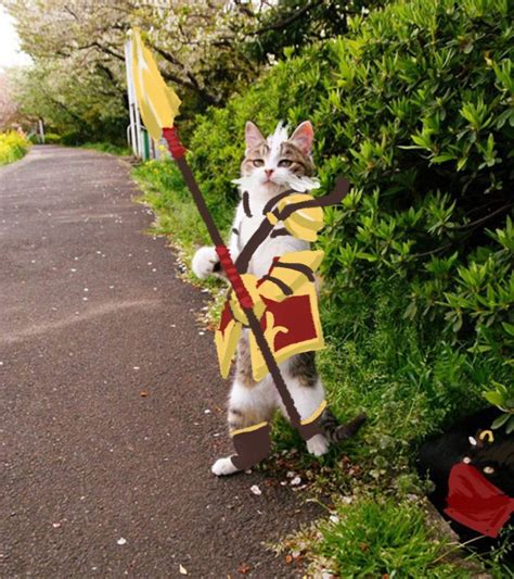 Image result for Thou Shall Not Pass Python