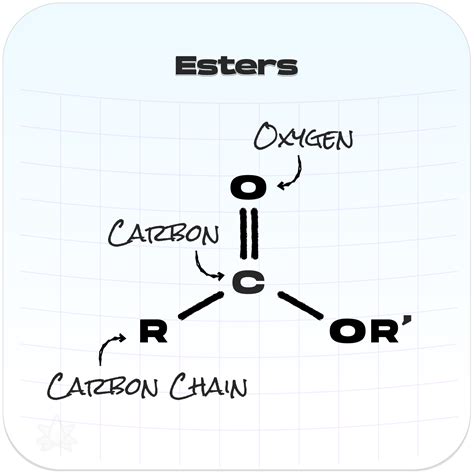 The Smell of Specific Chemical Groups | Terpene Belt Farms