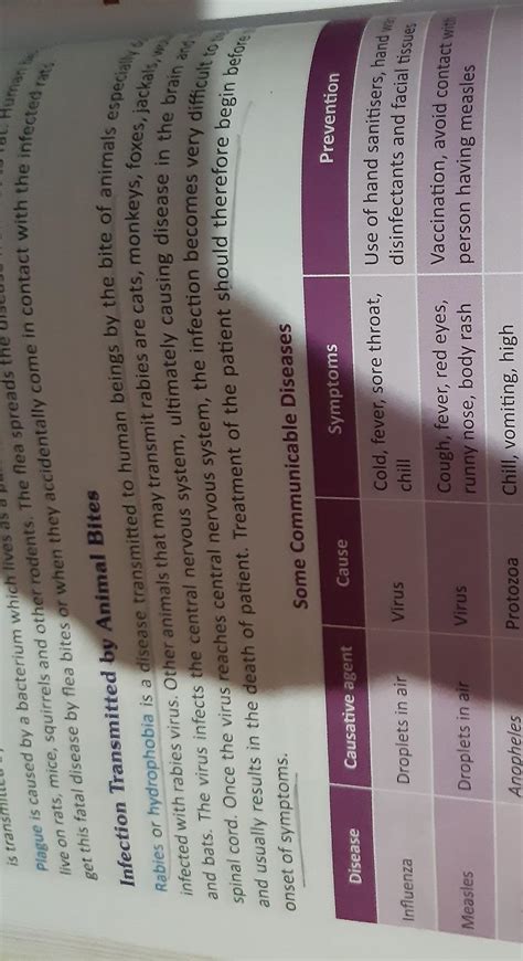 Rabies virus is spread by the bite of infected dogs and other animals ...