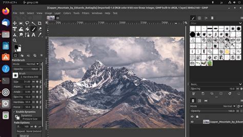 GIMP Python 的图像结果