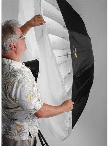 Image result for Parabolic Light Diffuser