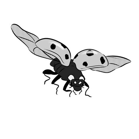 Image result for Ladybug Flaying