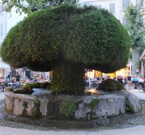 Fontaine Moussue (Salon-de-Provence) - 2022 What to Know Before You Go ...