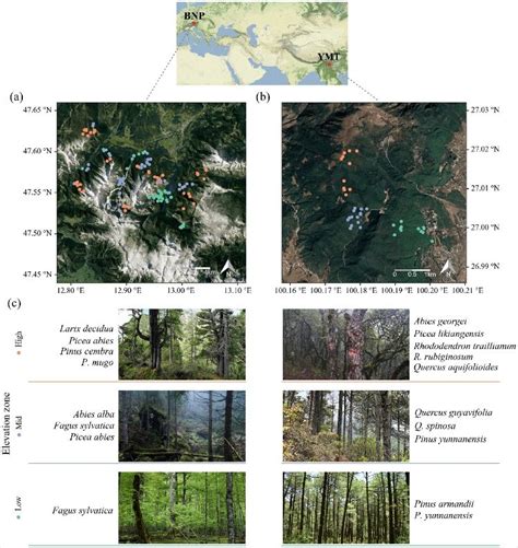 Conservation 的图像结果
