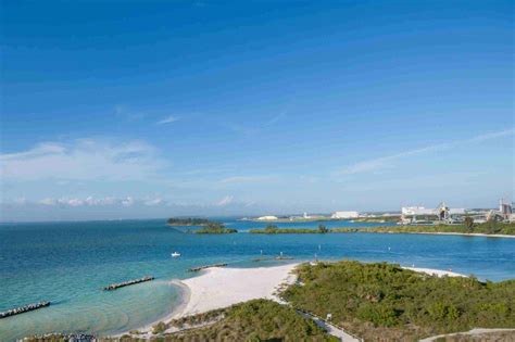 Best Beaches in Tampa: The Ultimate Guide to Sun and Sand
