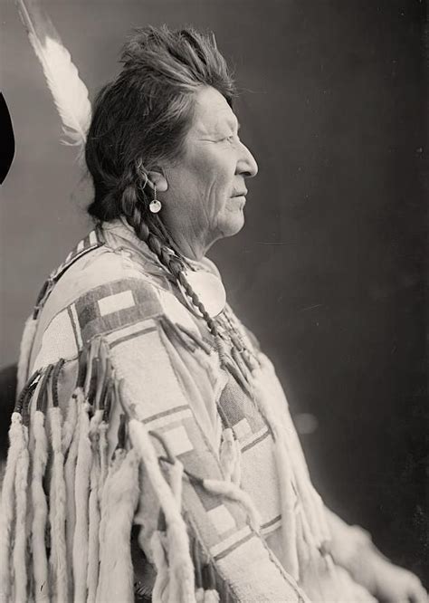 Unraveling the Enigma: Crows in Native American Mythology