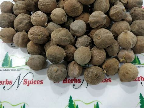 Herbal Fruits - Timut Pepper (With Seed)- Peppercorns - Zanthoxylum ...