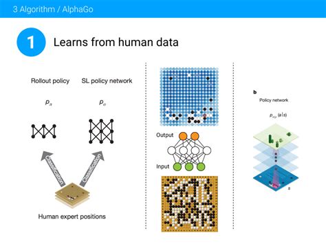 Alphago Algorithm 的图像结果