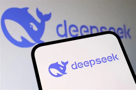 Image result for How to Use the Deepseek Source Code