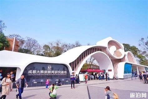 成都熊猫基地开园 2020年全球首对大熊猫双胞胎喜迎游客[组图] _ 图片中国_中国网