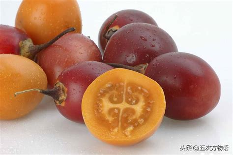 水果的种类名称大全,水果的种类,100种水果_大山谷图库