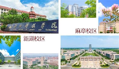 湛江科技学院2023年专任教师（硕士层次）招聘公告_高层次人才网
