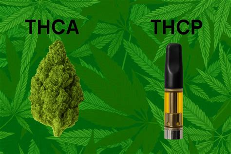 THCA vs THCP: Differences, Uses & Effects | Clouds For Less