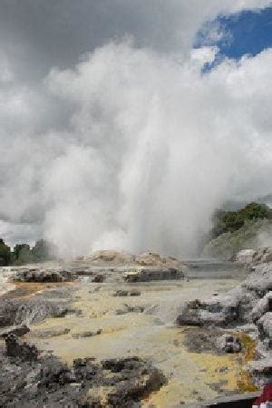 Cruise Tauranga - 2021 What to Know Before You Go (with Photos ...