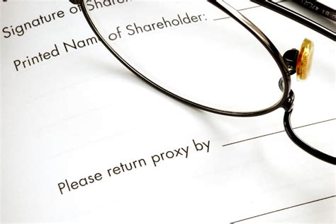 Proxy Voting Visual 的图像结果