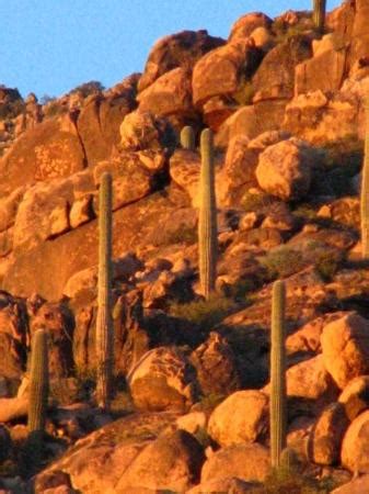 Congress Tourism (2022): Best of Congress, AZ - Tripadvisor