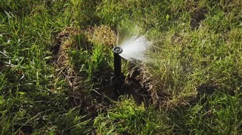 Image result for Sprinkler Accelerator