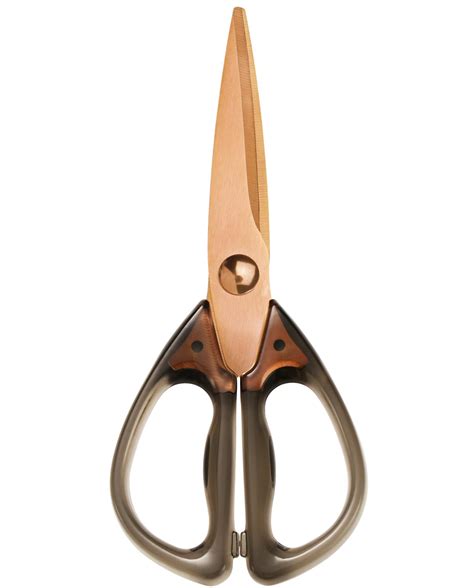 Scissors 的图像结果