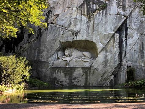 Lion Mating: 19 Fascinating Facts About the Reproductive Life of Lions - Facts.net