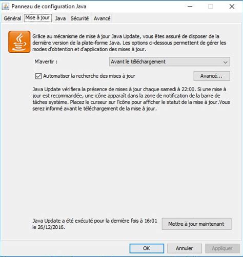 Aucune fenêtre lancé après l'exécution du setup java - Windows 10
