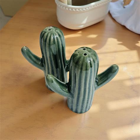 Cactus Ceramic Salt & Pepper Shaker Set – Lupaava