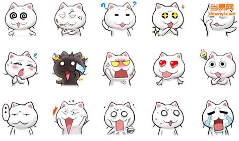 Ws猫表情包-Ws猫QQ表情包下载免费版-猥琐猫表情包-当易网