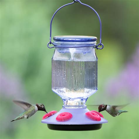 Hummingbird Feeders For Windy Areas at Harold Spence blog