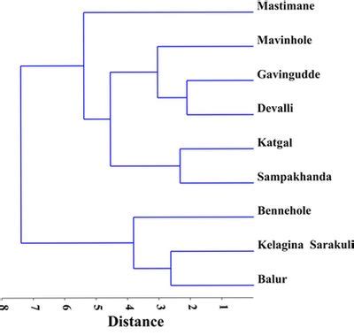 Diversity and Distribution of Aquatic Insects in Aghanashini River of ...