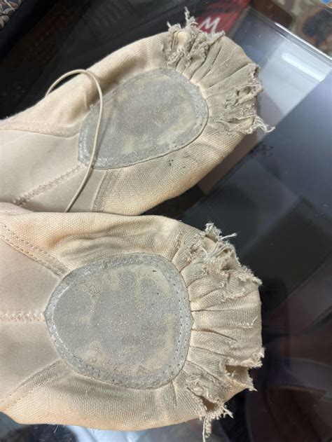 Buy Mesh Ballet Canvas Shoe Online – The Dance Bible