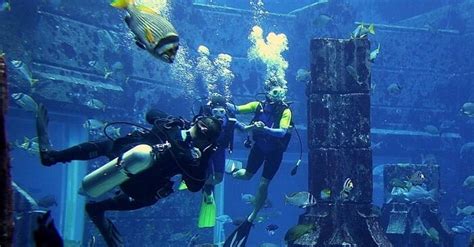 The Lost Chamber Aquarium Dubai: Experience the Magic.